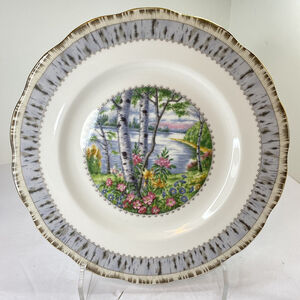 Royal Albert Silver Birch Dinner Plates Bone China England 10” 1975